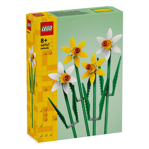 40747 Daffodils